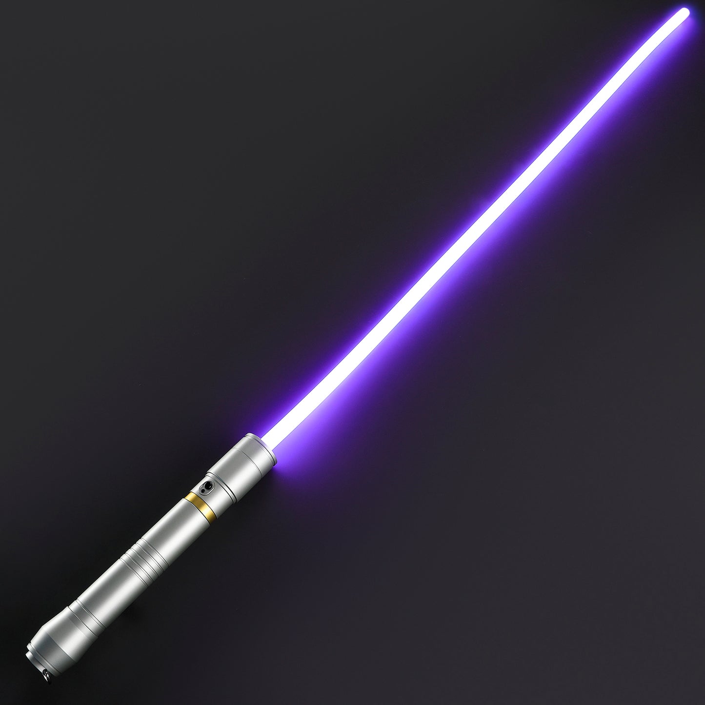 The Whip Master’s Relic
