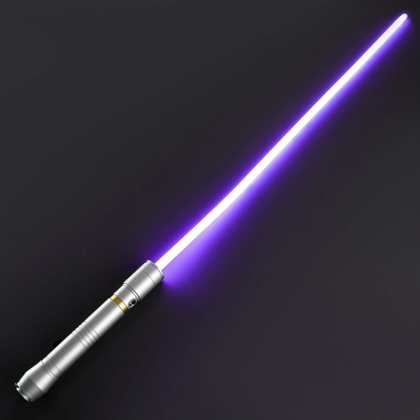The Whip Master’s Relic